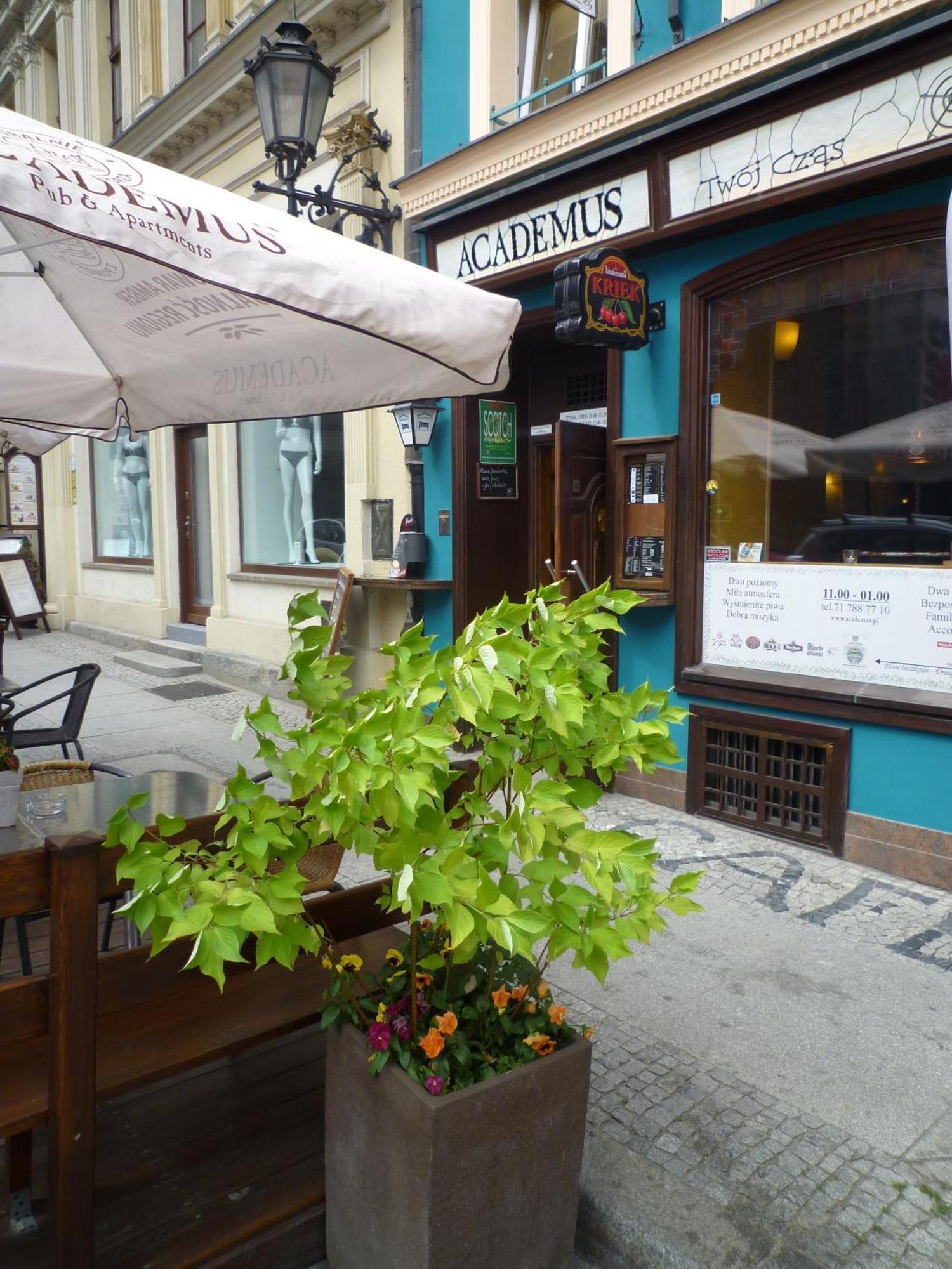 Academus Pub & Guest House Wroclaw Exterior photo